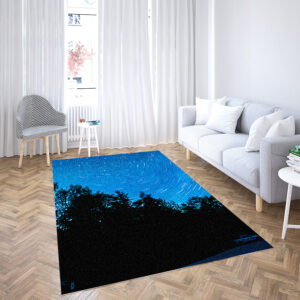 floor rugs for living room floor rugs near me cheap rugs clearance