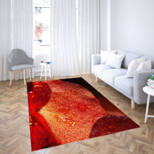 lounge rugs for sale top carpet vinyl floor rugs