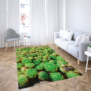 sizeable rug rugs for living room print area rug