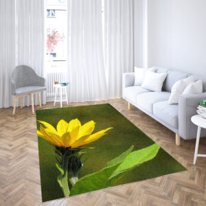 professional wool rug cleaning near me light area rug abstract rugs for living room