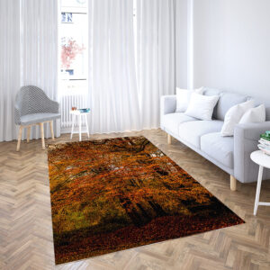 best machine washable rugs beautiful rugs for living room soft rugs for living room