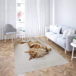 chic rugs area rug cleaning near me rug ikea